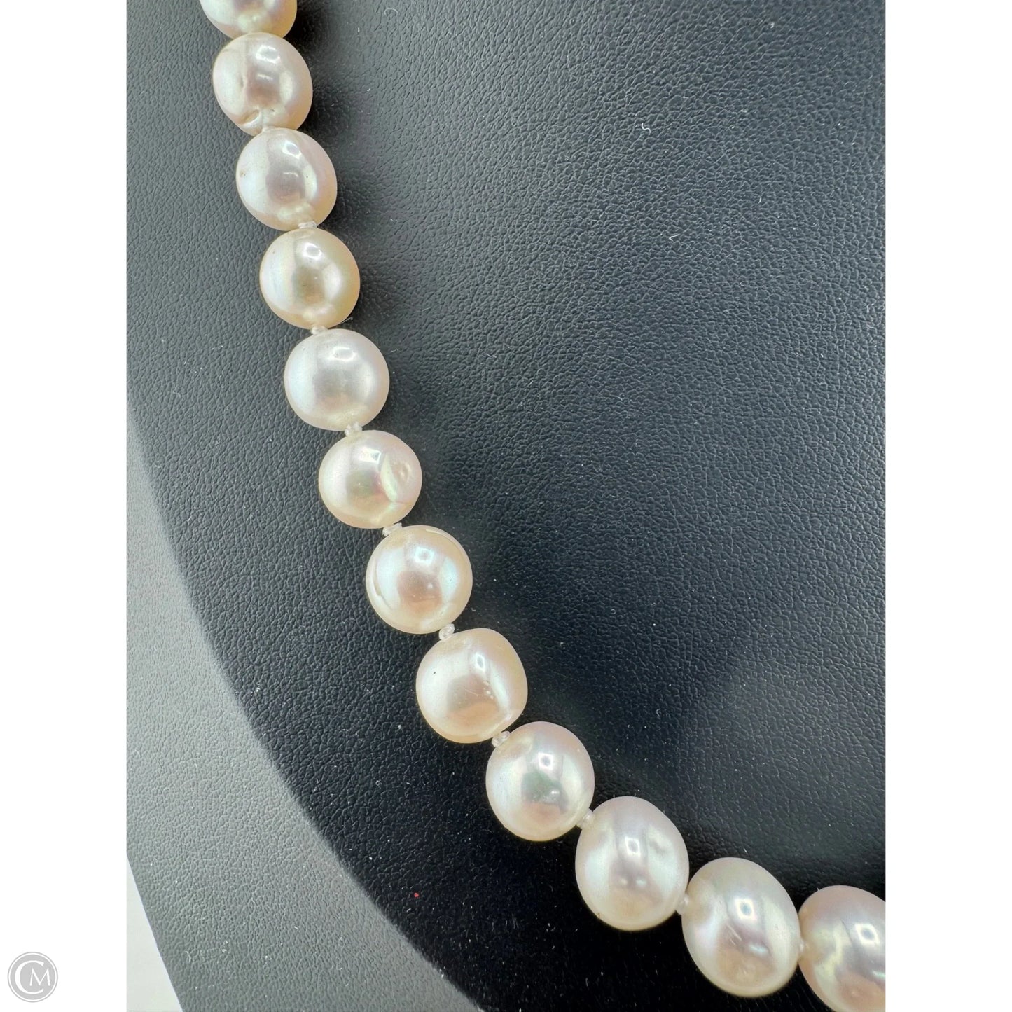 Necklace Chain By Clothes Mentor