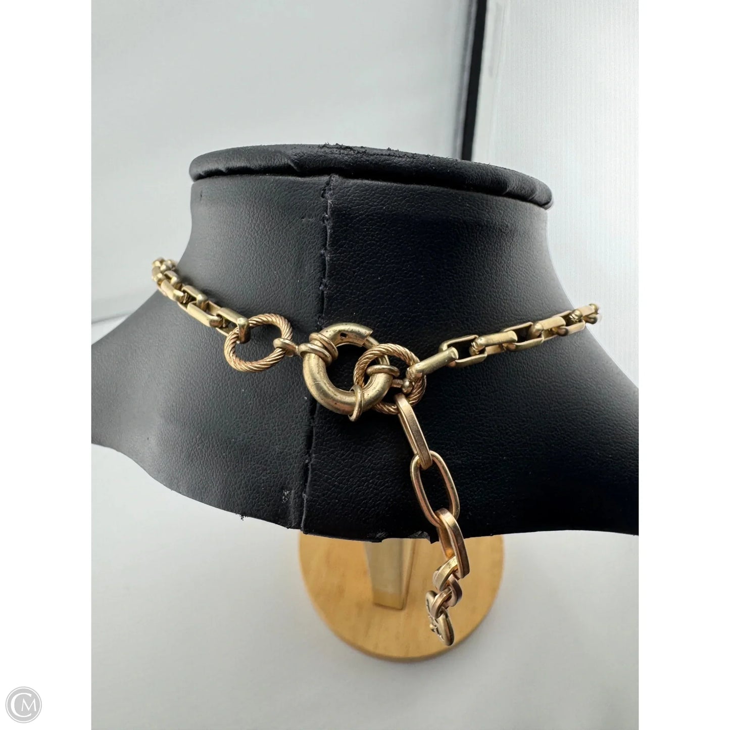 Necklace Designer By Patricia Nash