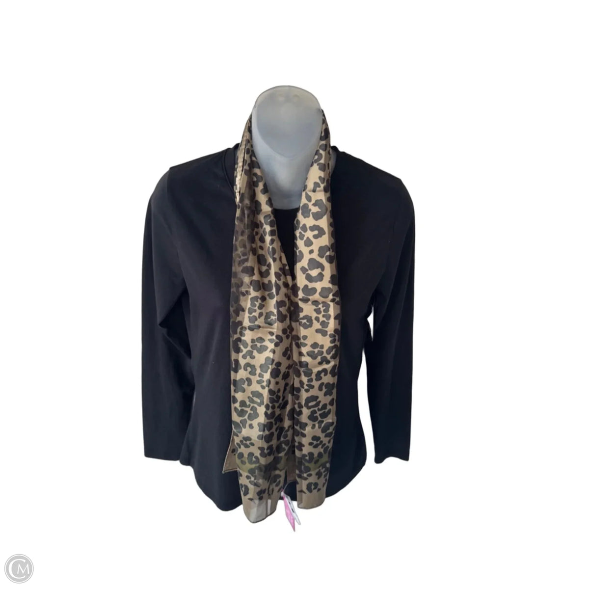 Scarf Long By Clothes Mentor