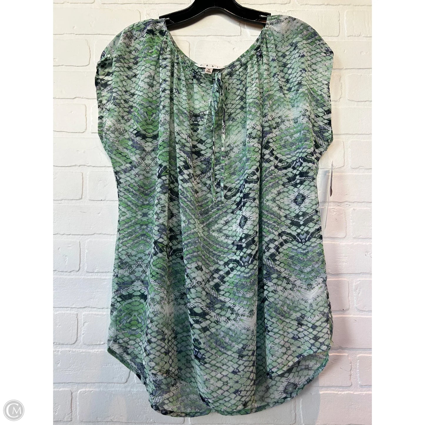 Top Short Sleeve By Cabi In Green & White, Size: M