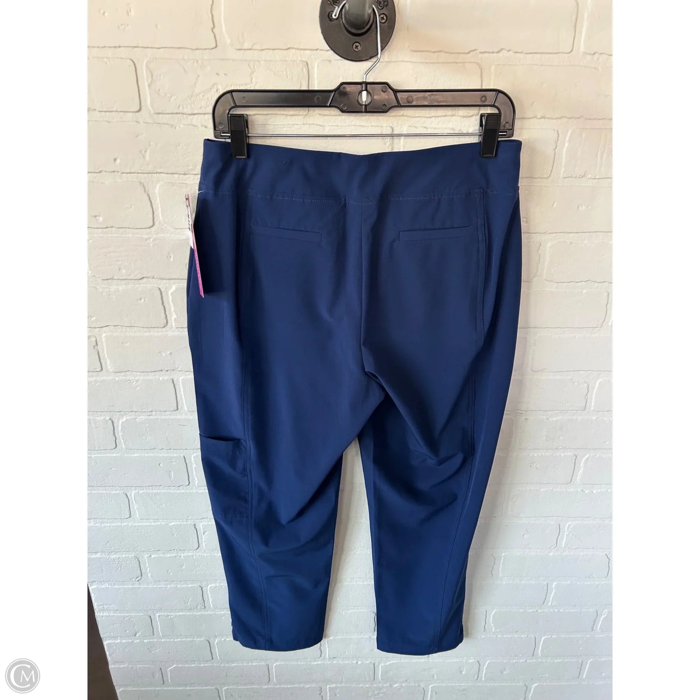 Pants Other By Chicos In Blue, Size: 4