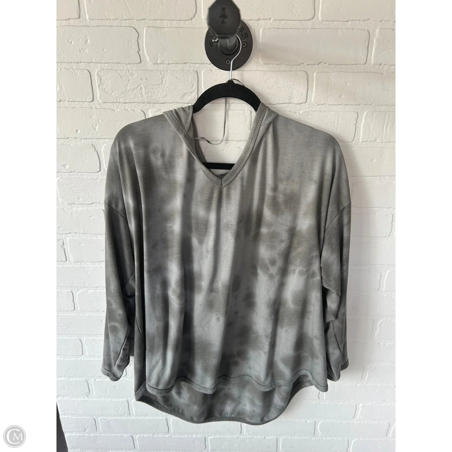 Top Long Sleeve By Cupio In Grey, Size: 2x