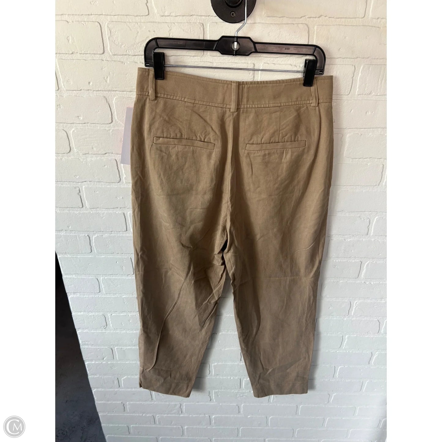 Pants Chinos & Khakis By Everlane In Tan, Size: 8