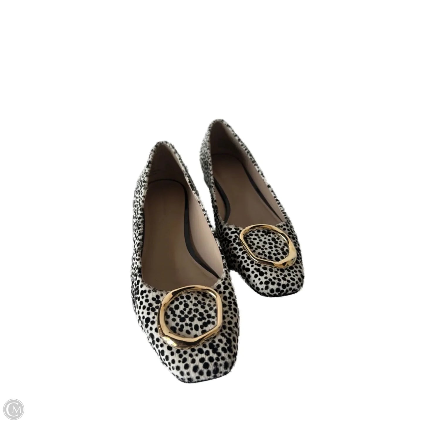Shoes Flats By Something Navy In Black & Cream, Size: 6.5