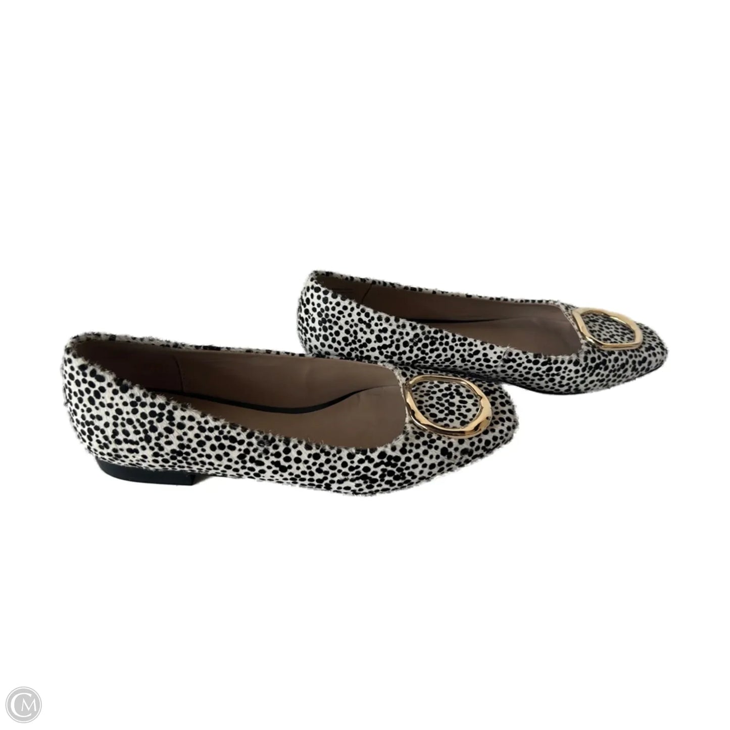 Shoes Flats By Something Navy In Black & Cream, Size: 6.5