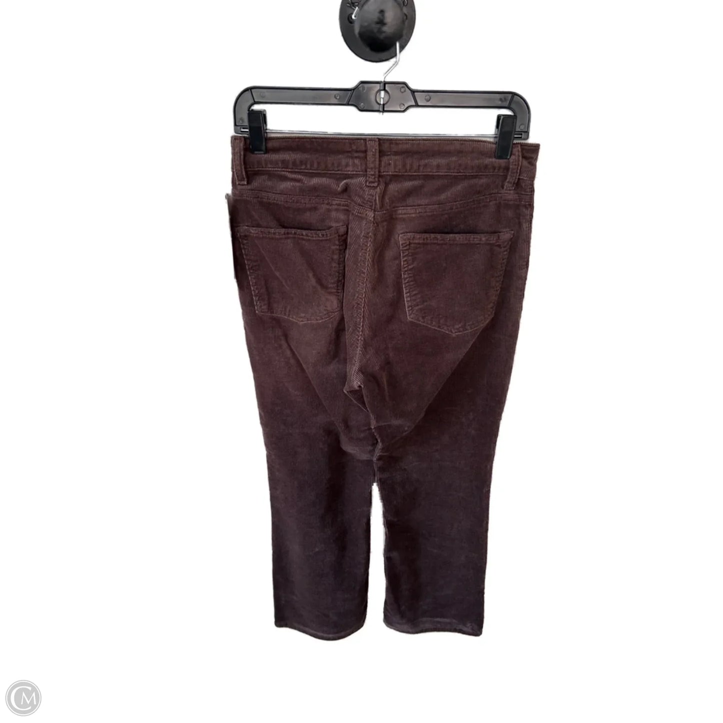 Pants Corduroy By Pilcro In Brown, Size: 6