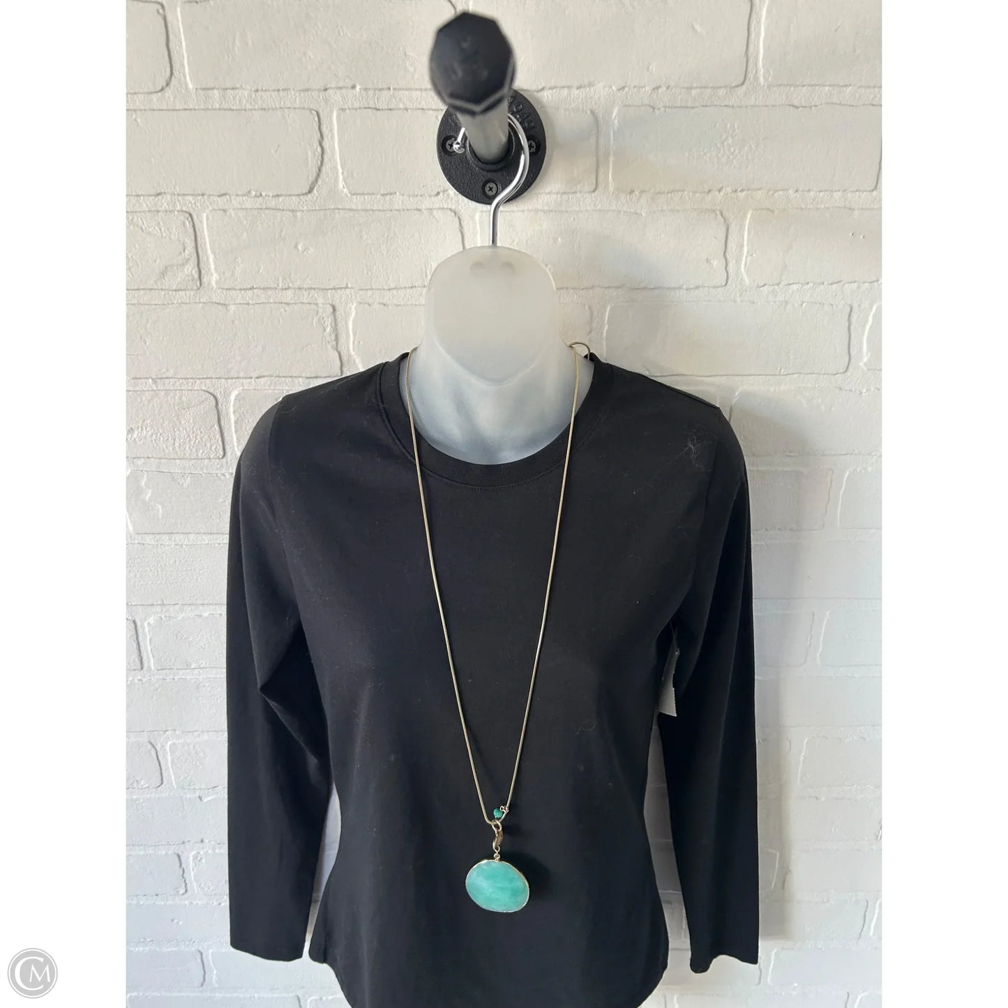 Necklace Pendant By Clothes Mentor