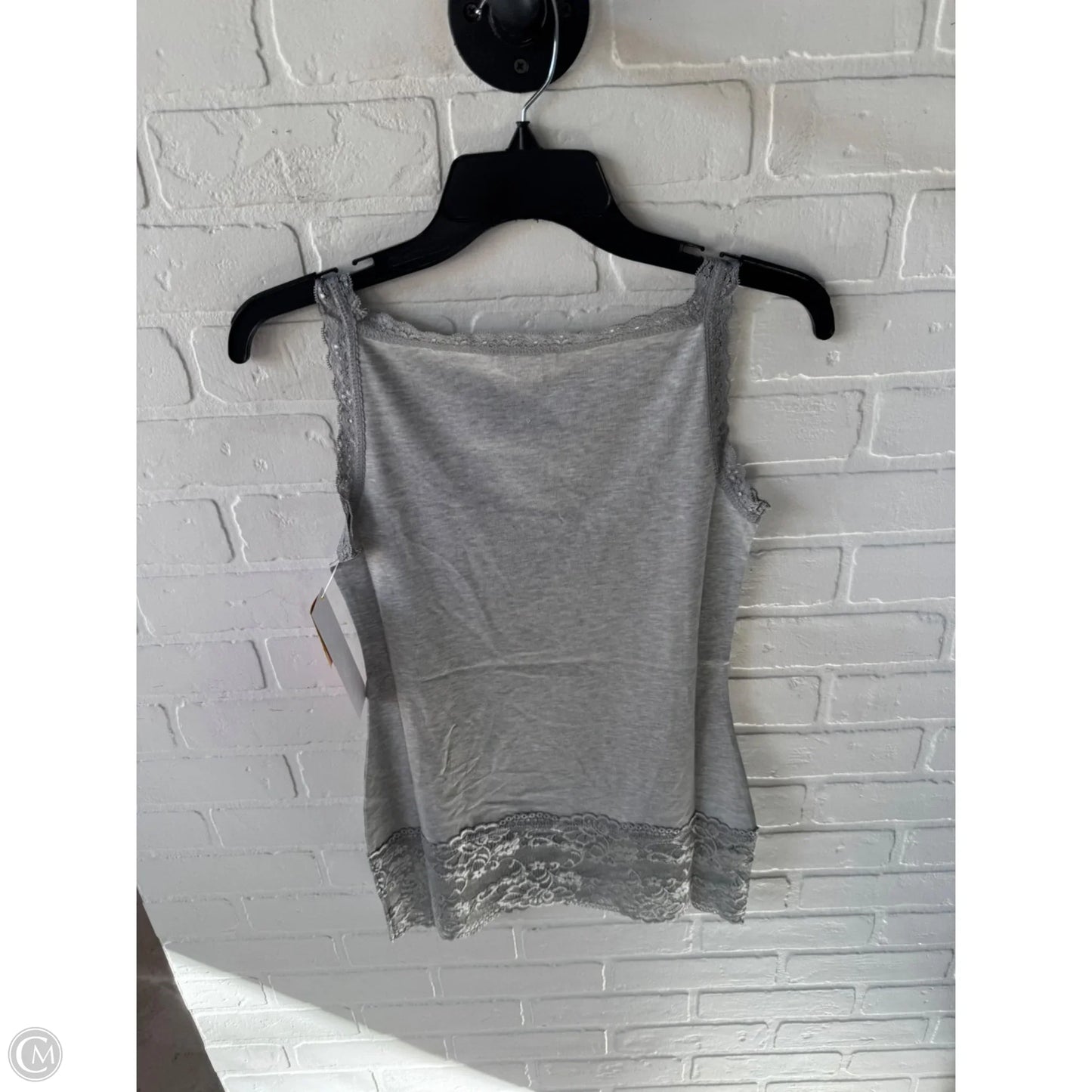 Top Sleeveless By Sundance In Grey, Size: Xs