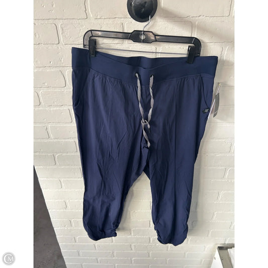 Pants Joggers By Torrid In Blue, Size: 14