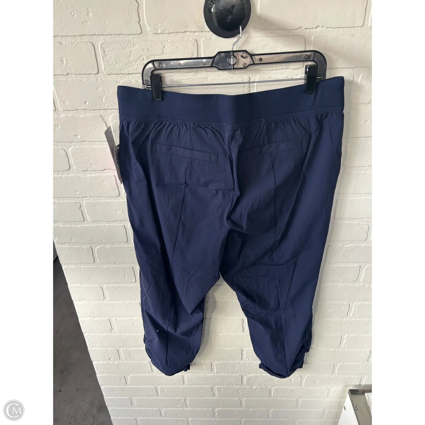 Pants Joggers By Torrid In Blue, Size: 14