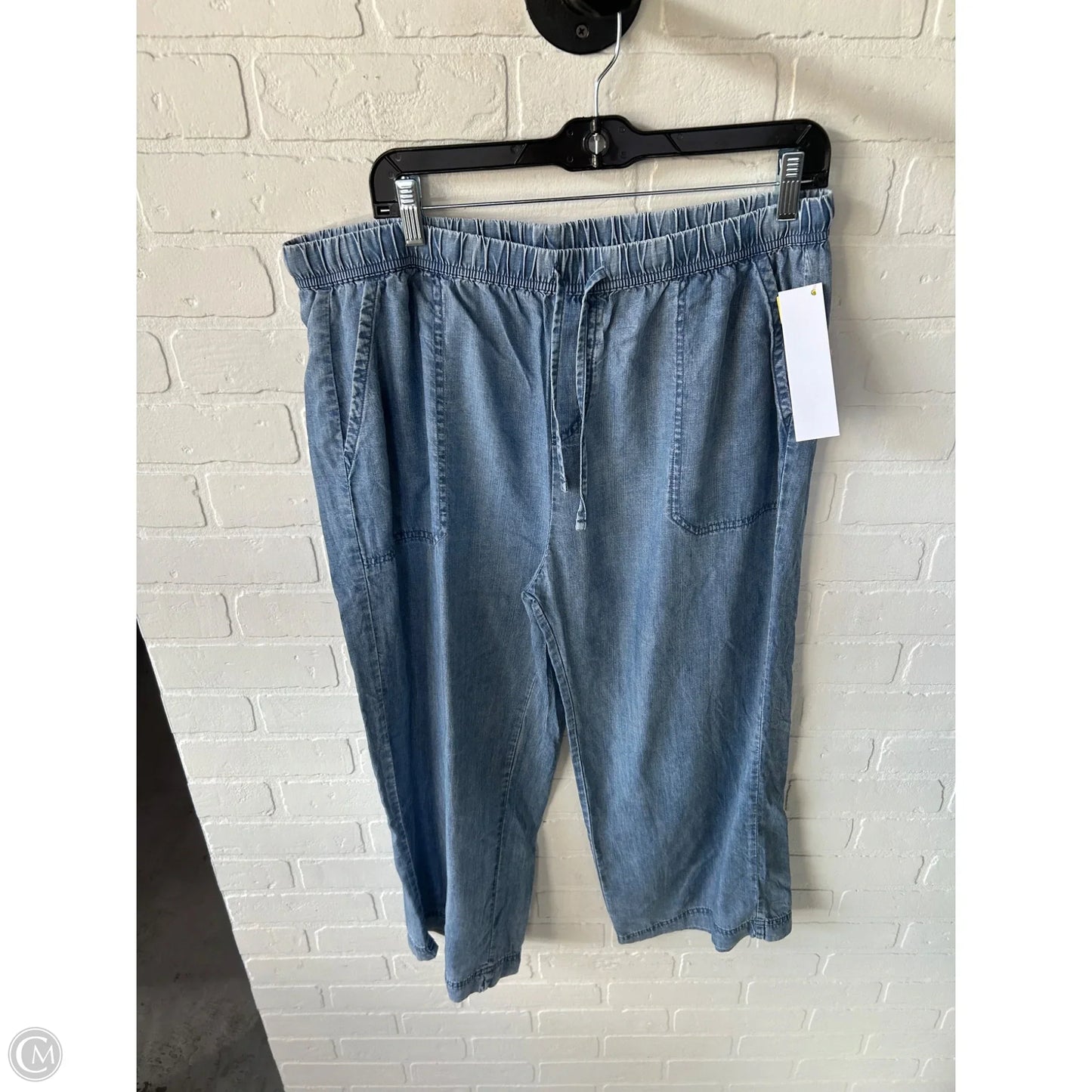 Pants Wide Leg By Splendid In Blue Denim, Size: 16