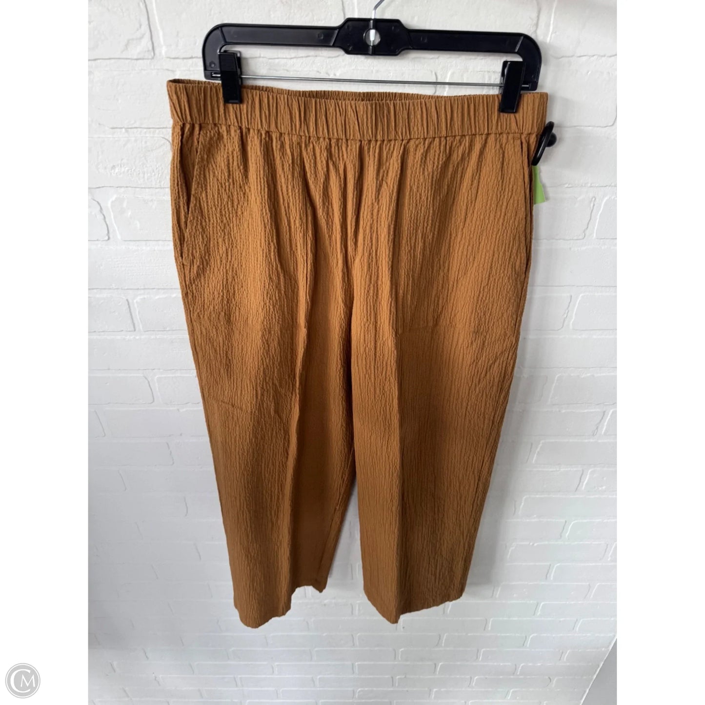 Pants Other By Eileen Fisher In Brown, Size: 8