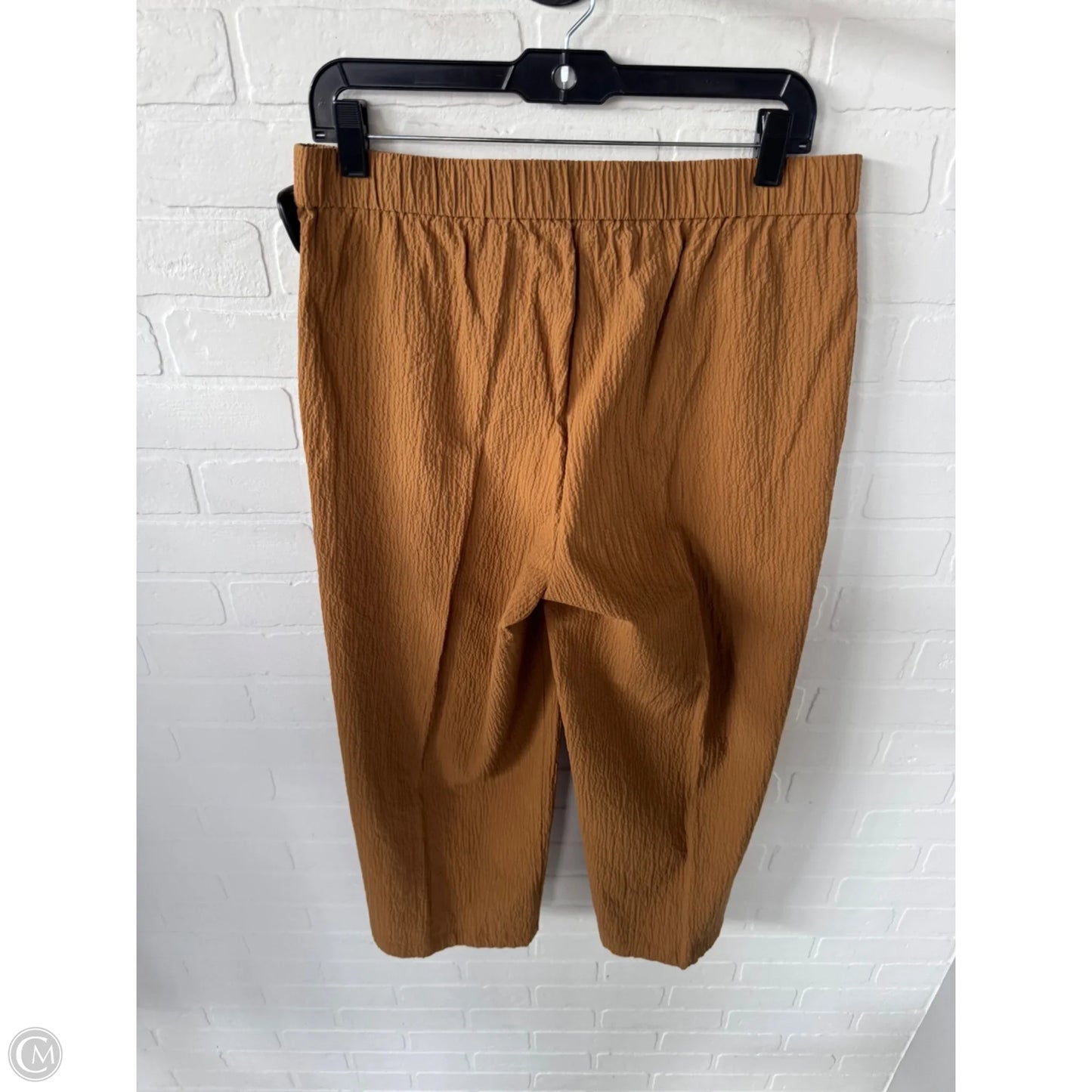 Pants Other By Eileen Fisher In Brown, Size: 8