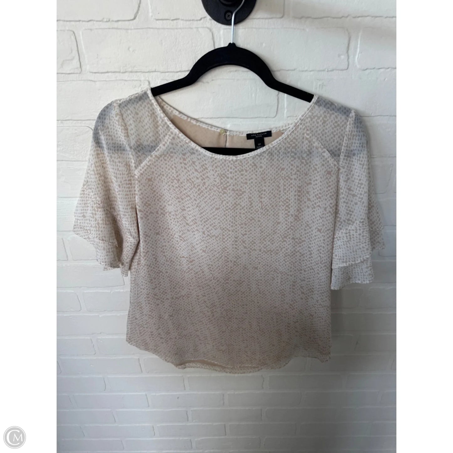 Top Short Sleeve By Ann Taylor In Tan & White, Size: Sp
