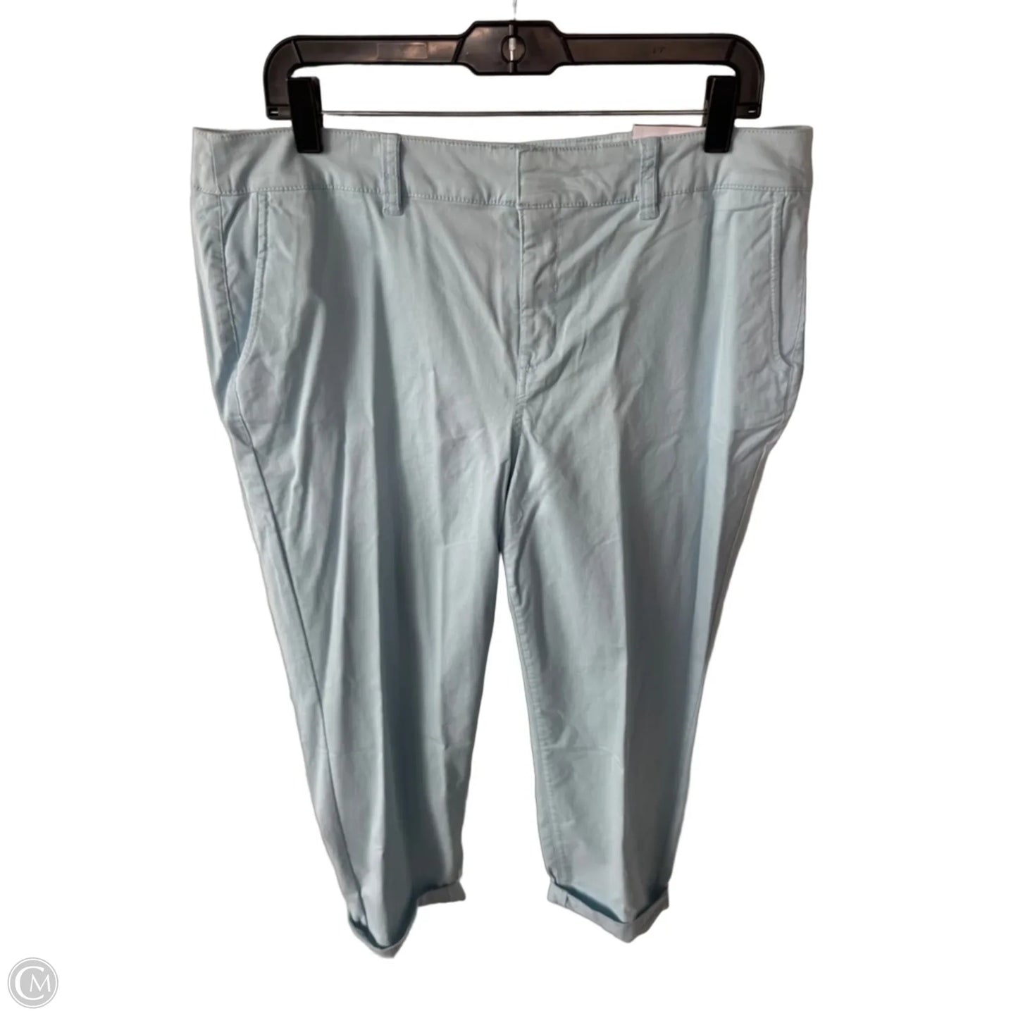 Pants Other By Lane Bryant In Blue, Size: 14
