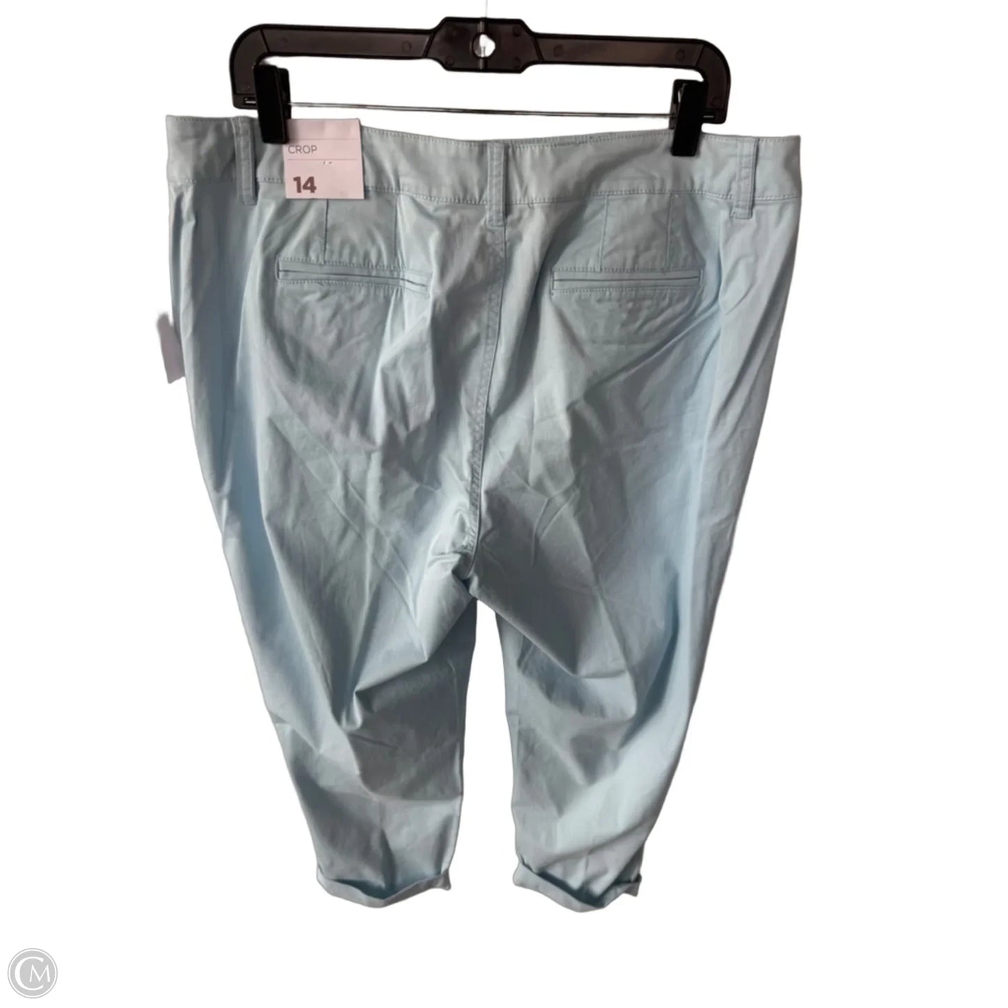 Pants Other By Lane Bryant In Blue, Size: 14