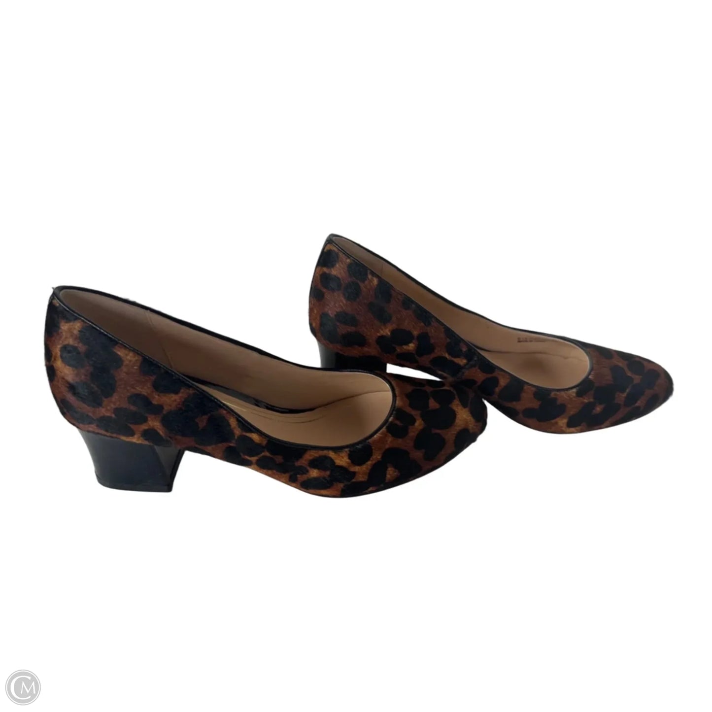 Shoes Heels Block By Cole-haan In Animal Print, Size: 8