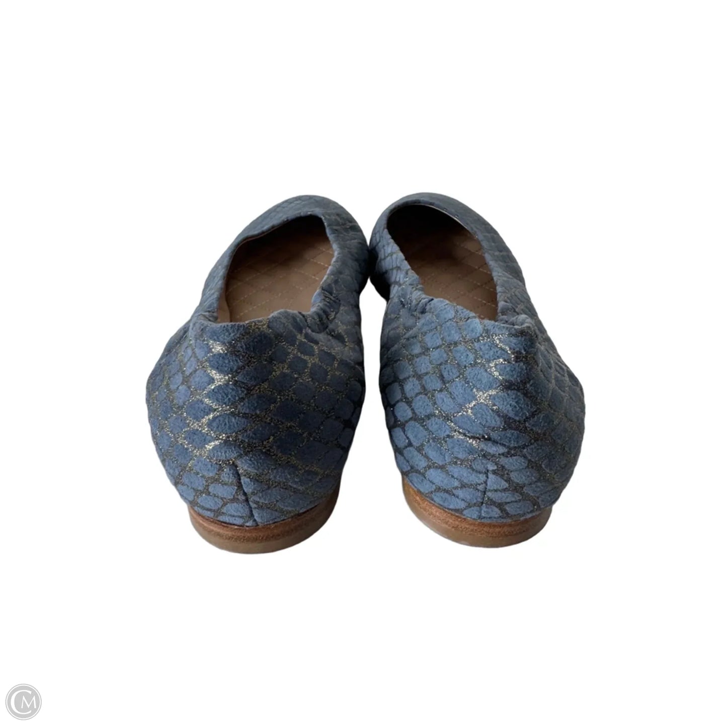Shoes Flats By Cmb In Blue & Gold, Size: 8