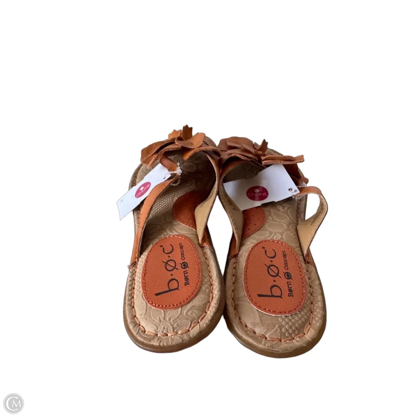 Sandals Flip Flops By Boc In Orange, Size: 6