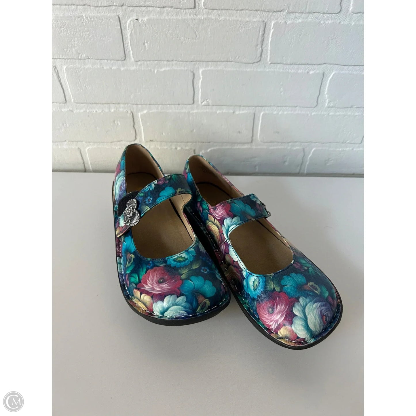 Shoes Flats By Alegria In Blue & Pink, Size: 9.5