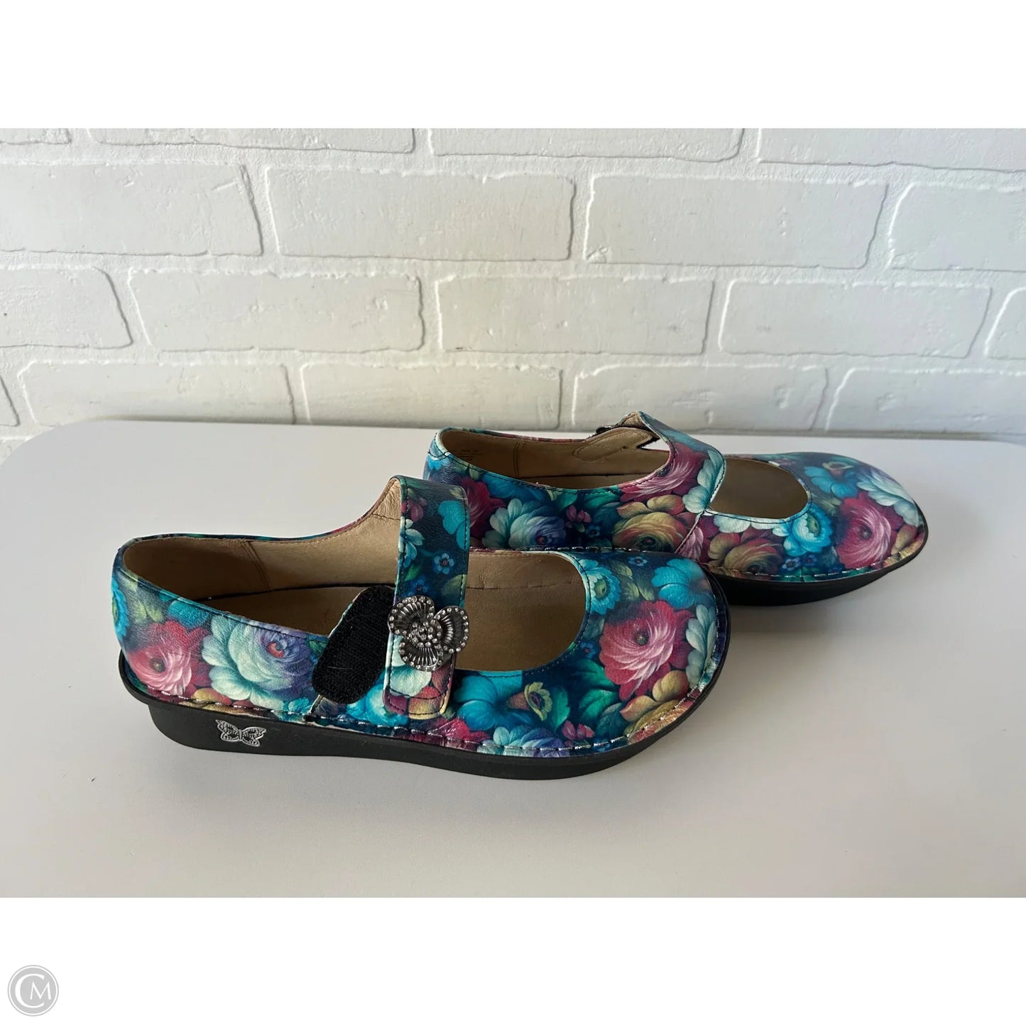 Shoes Flats By Alegria In Blue & Pink, Size: 9.5