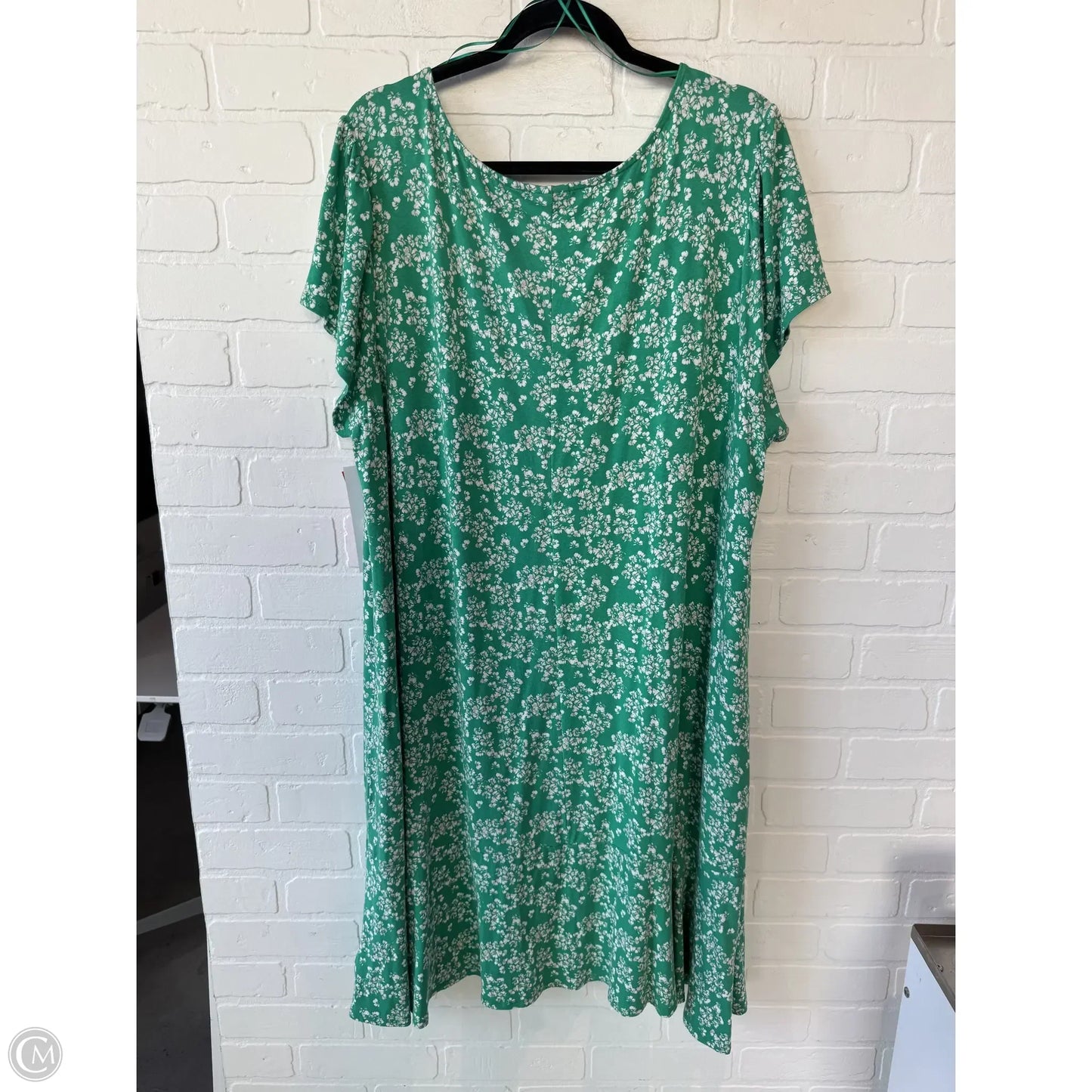 Dress Casual Short By Rachel Zoe In Green & White, Size: 3x