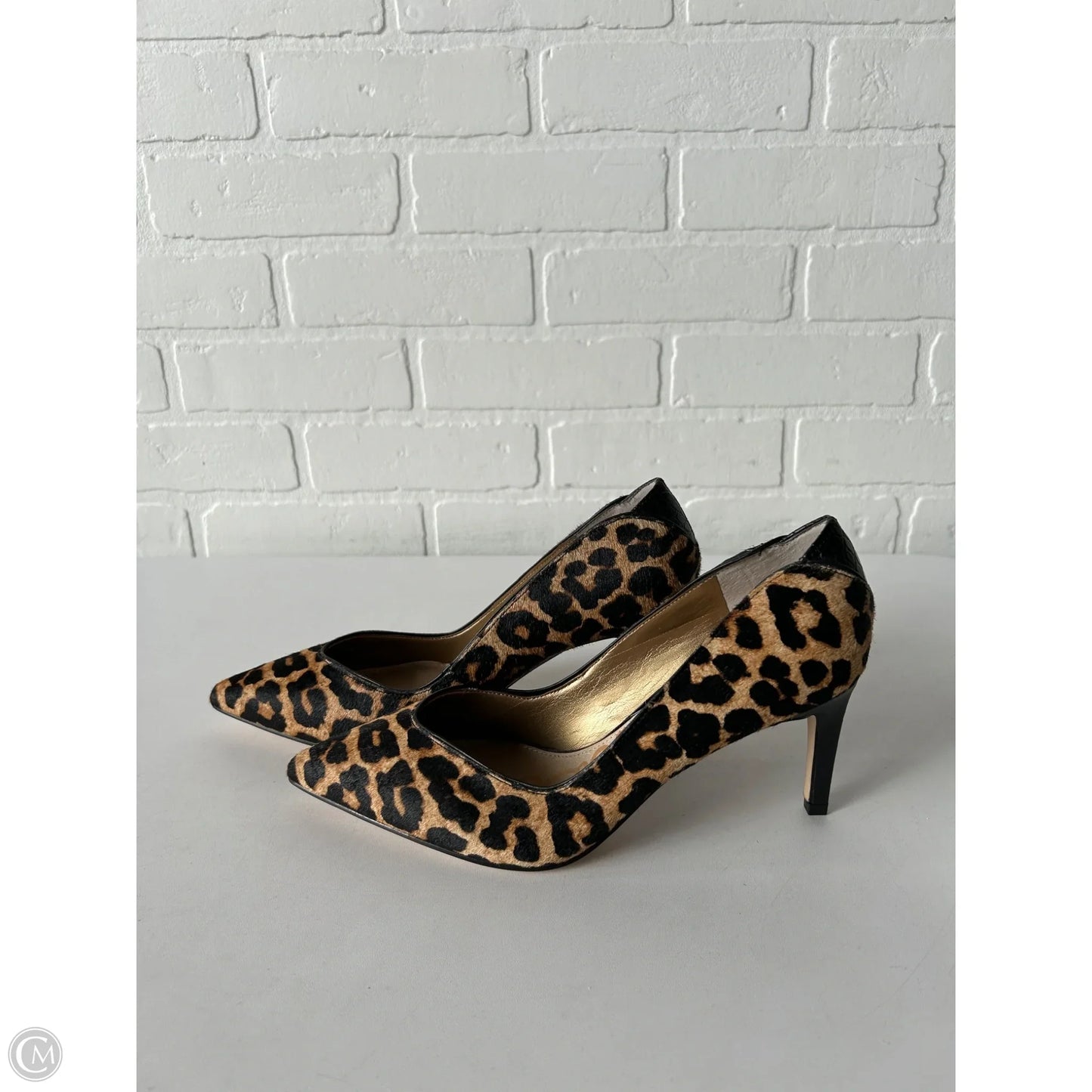 Shoes Heels Stiletto By Sam Edelman In Animal Print, Size: 8