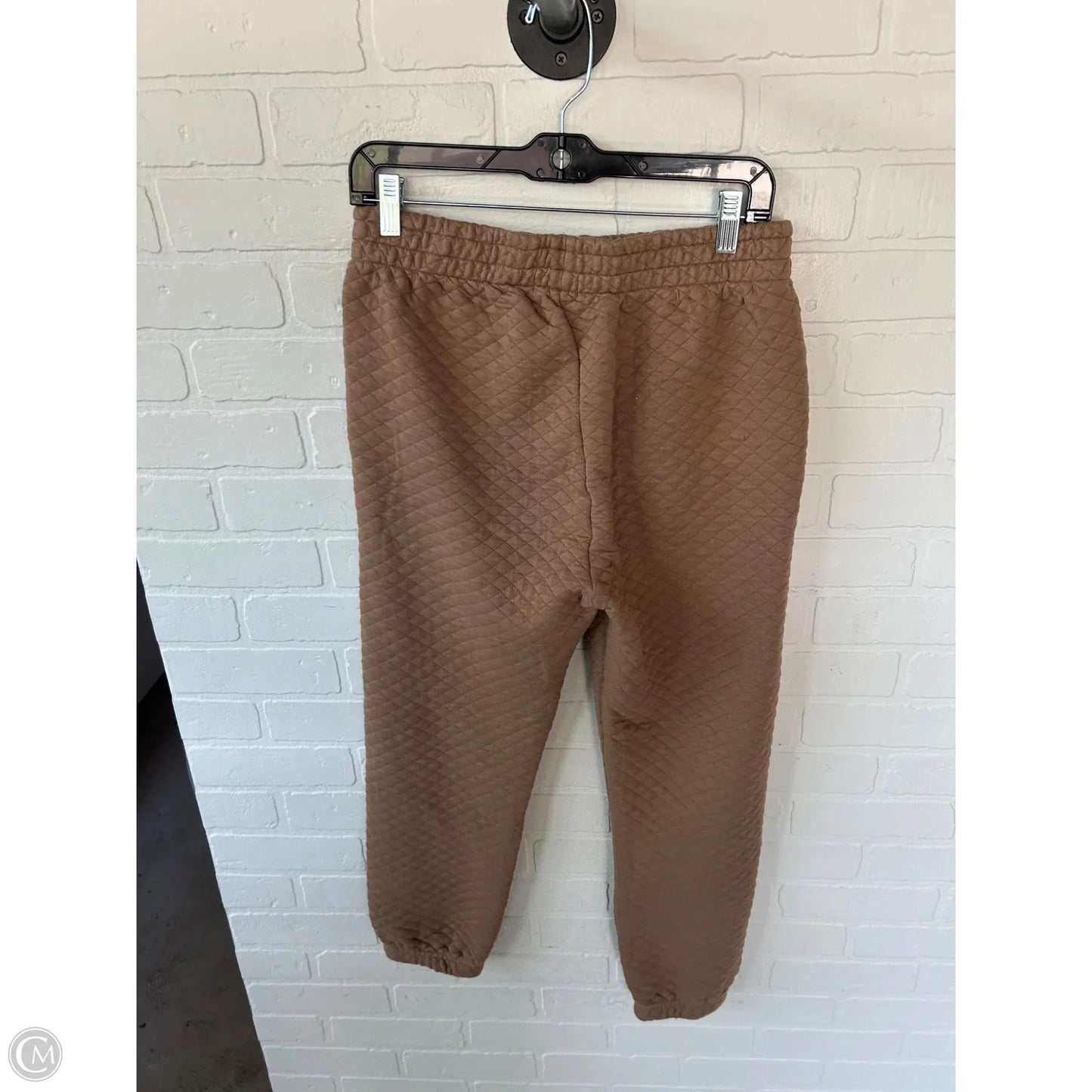 Pants Joggers By Z Supply In Brown, Size: 8