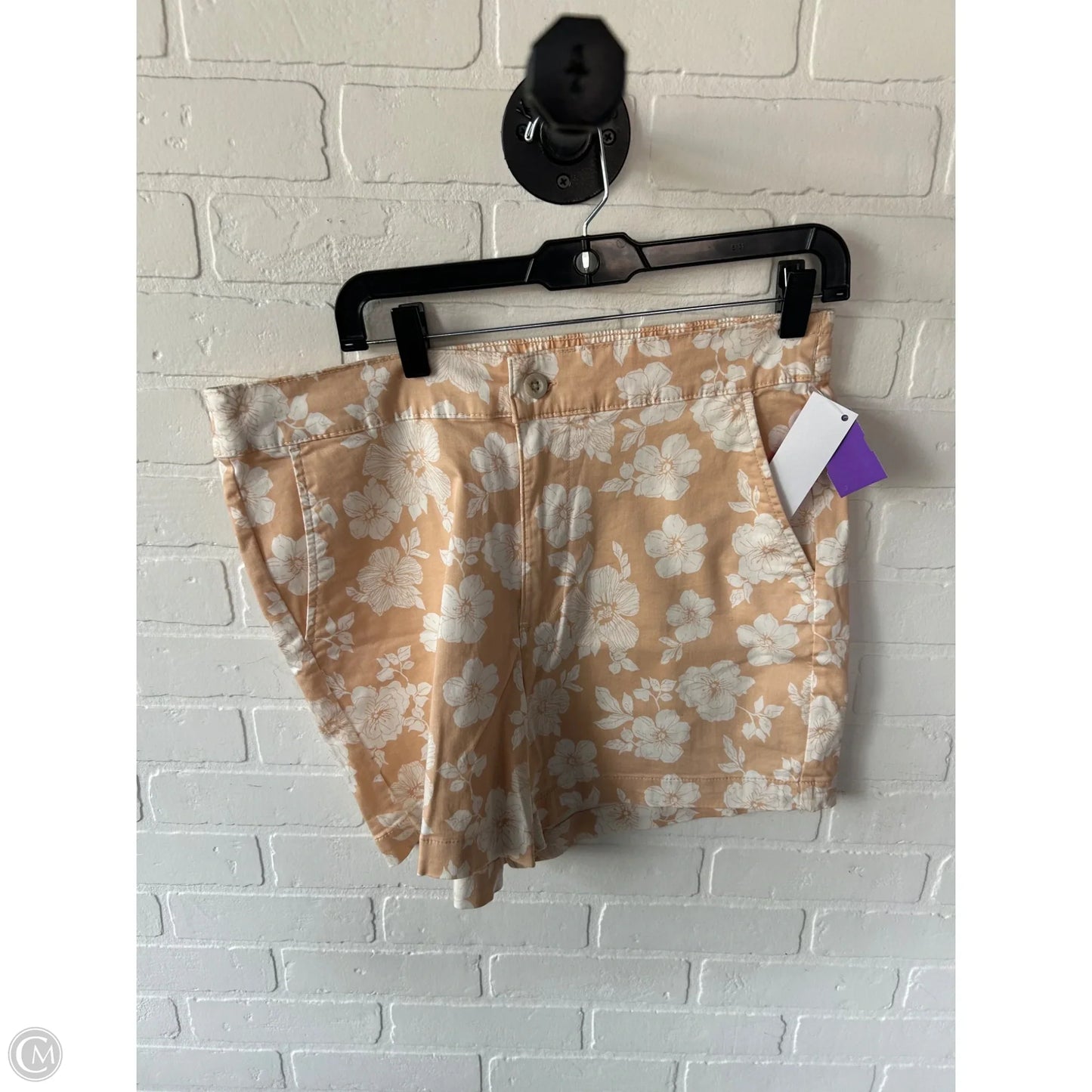 Shorts By Jachs Girlfirend In Peach, Size: 12