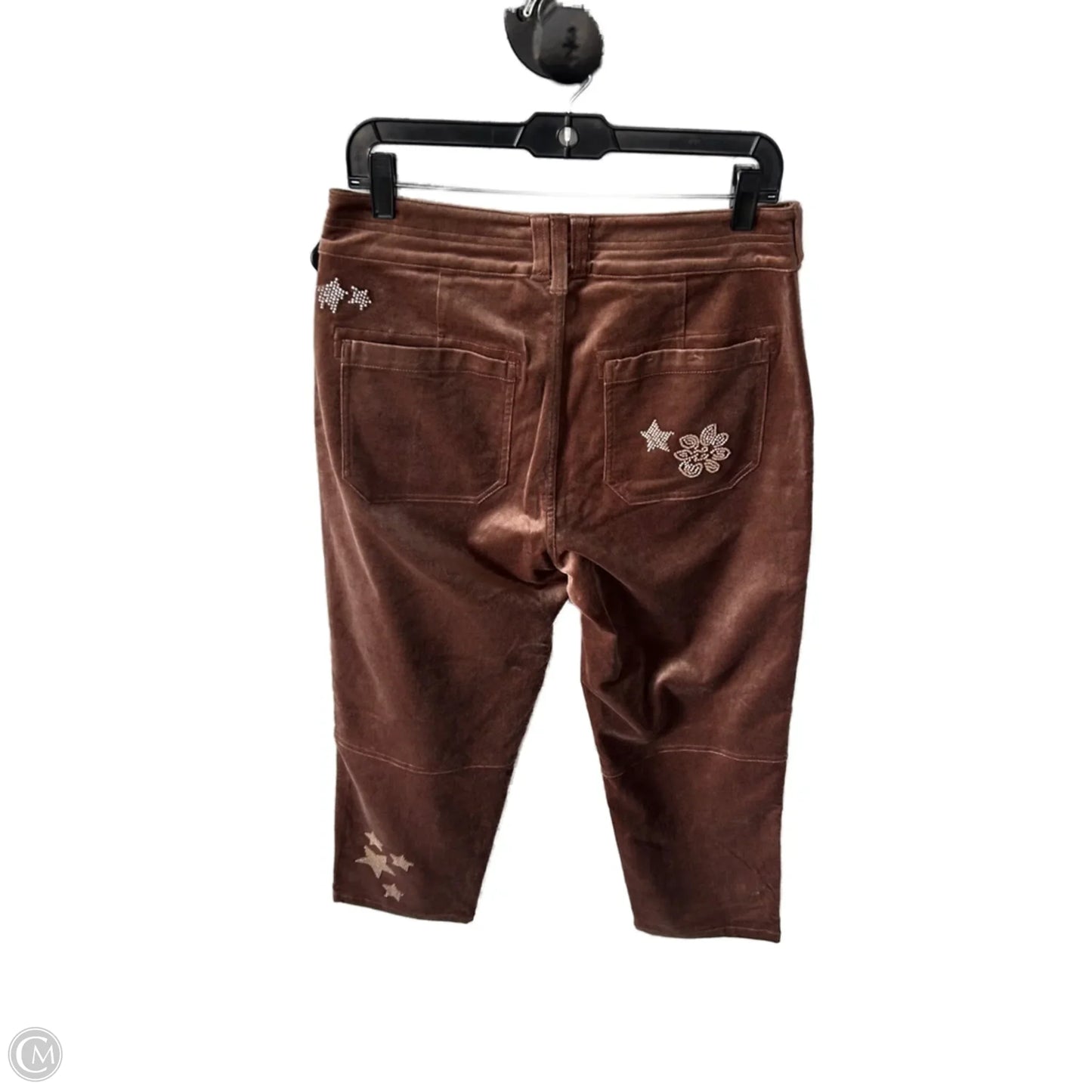 Pants Other By Pilcro In Brown, Size: 6