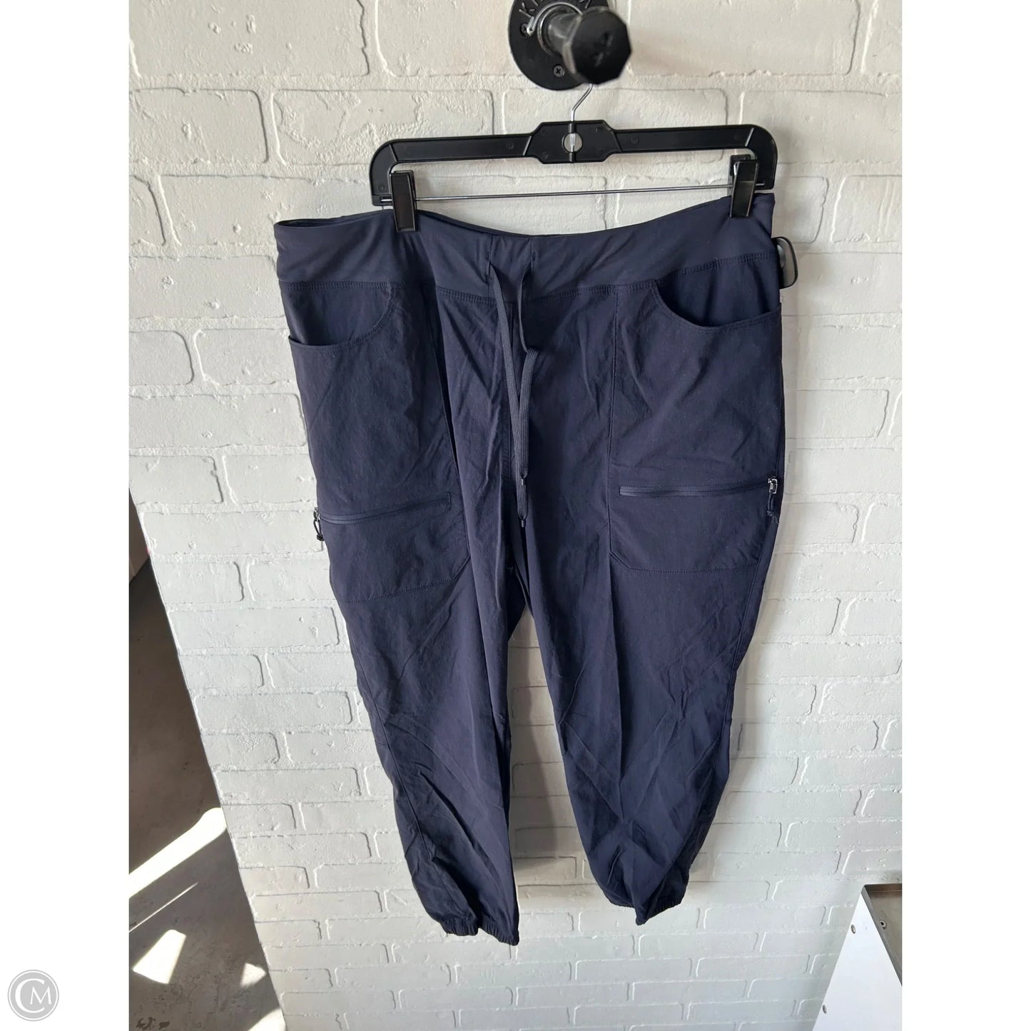 Athletic Pants By Patagonia In Navy, Size: 14