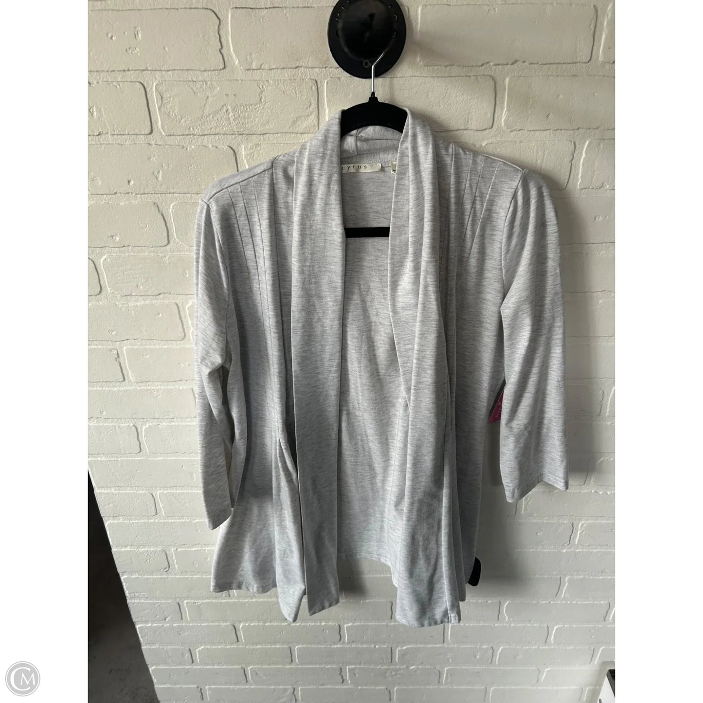 Cardigan By Cyrus In Grey, Size: L