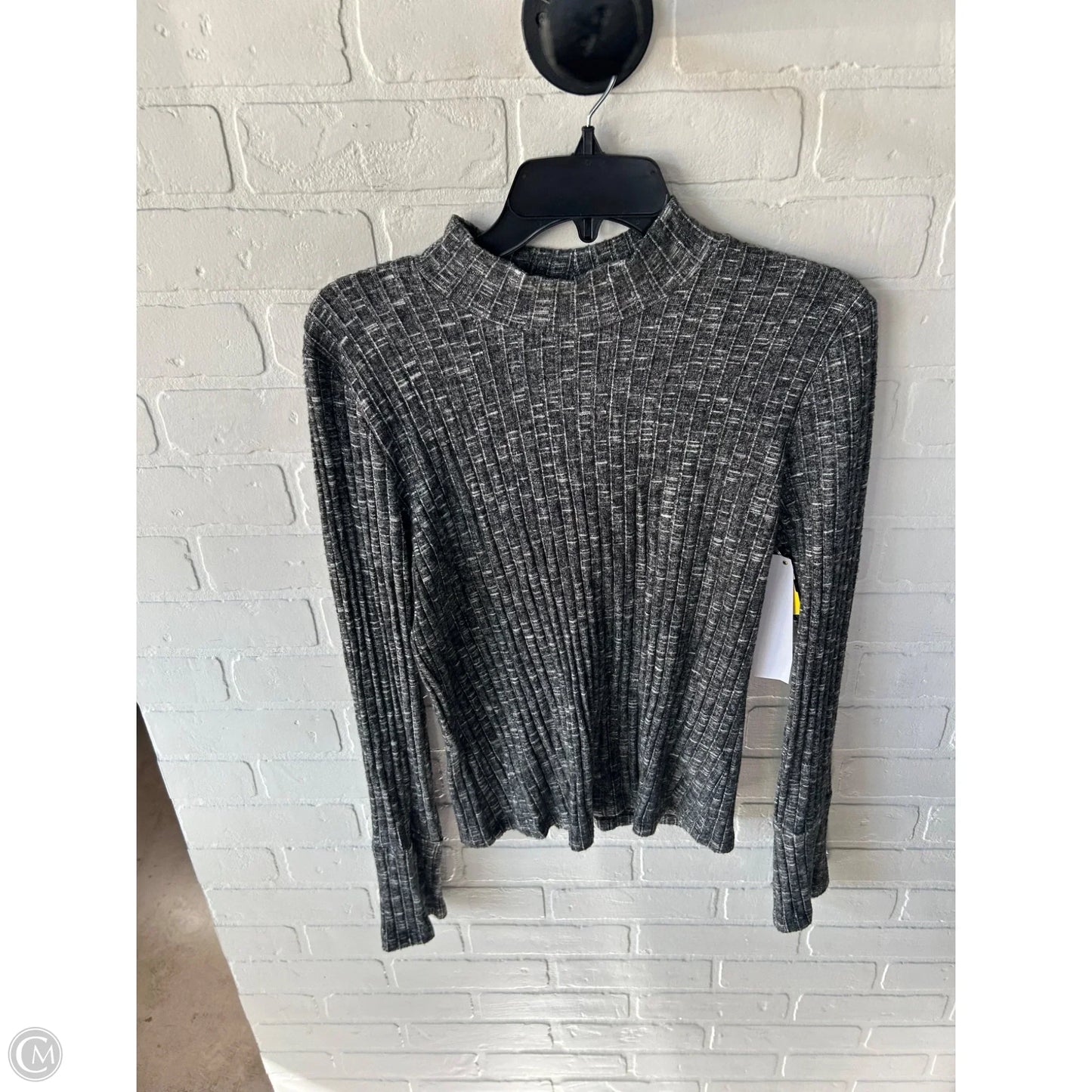 Top Long Sleeve By Michael Stars In Grey, Size: L