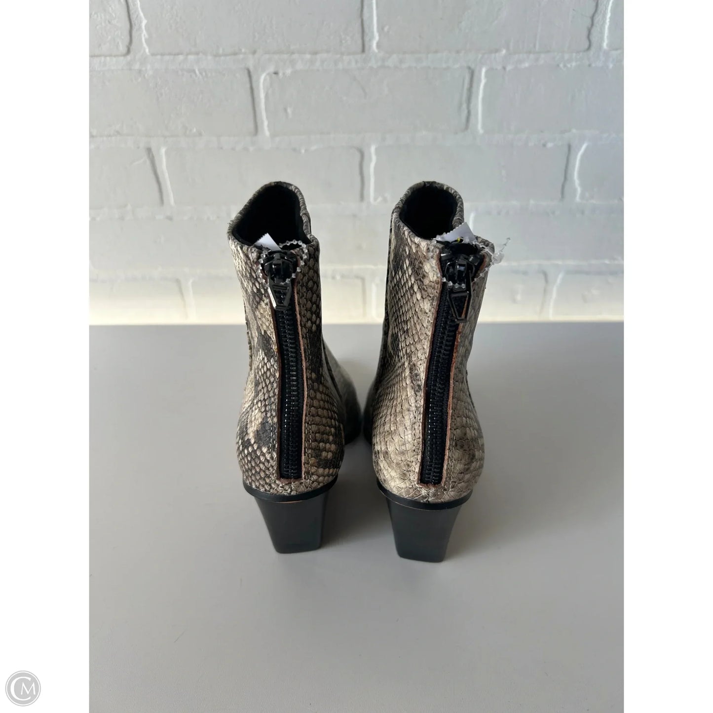 Boots Ankle Heels By Dolce Vita In Cream & Grey, Size: 6