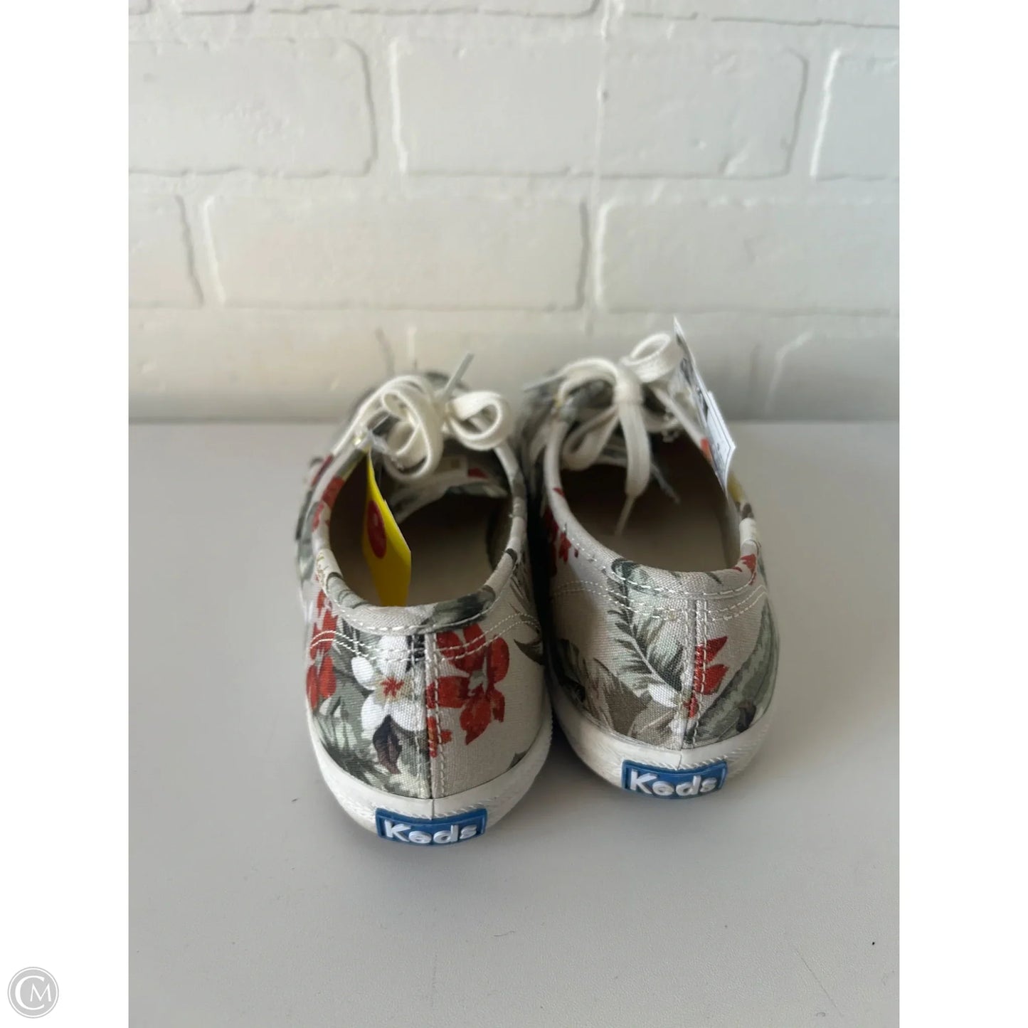 Shoes Sneakers By Keds In Cream & Green, Size: 6