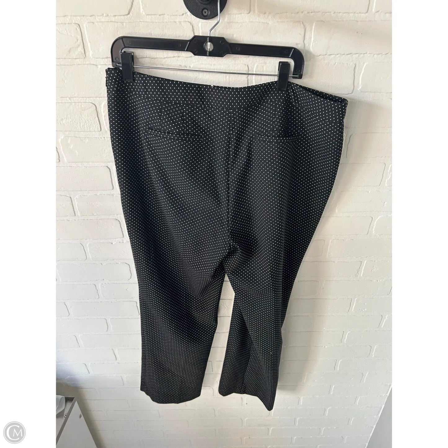 Pants Other By Talbots In Black & White, Size: 16p