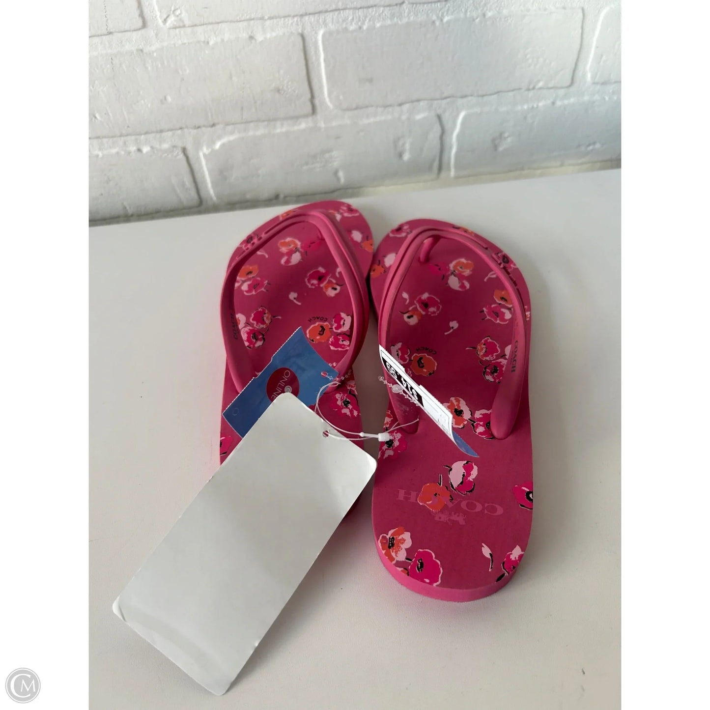 Sandals Designer By Coach In Pink, Size: 7