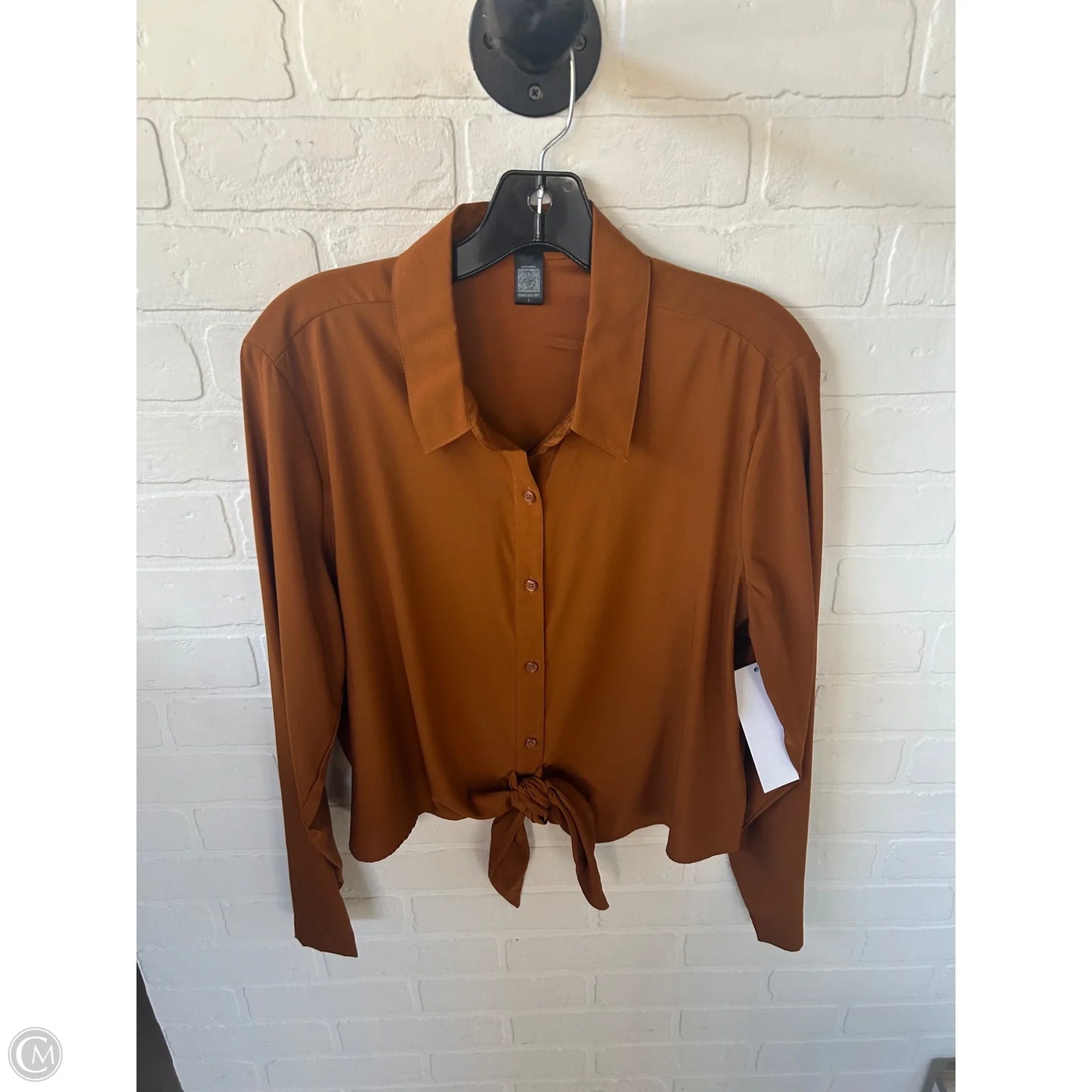 Top Long Sleeve By Express In Brown, Size: L