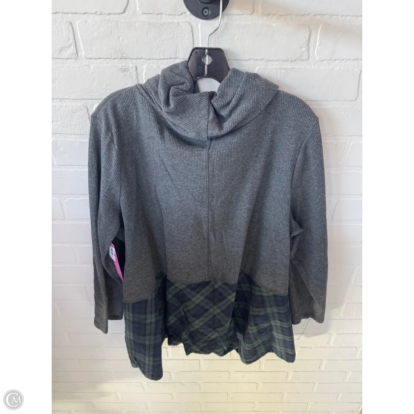 Top Long Sleeve By Suzanne Betro In Grey, Size: 2x