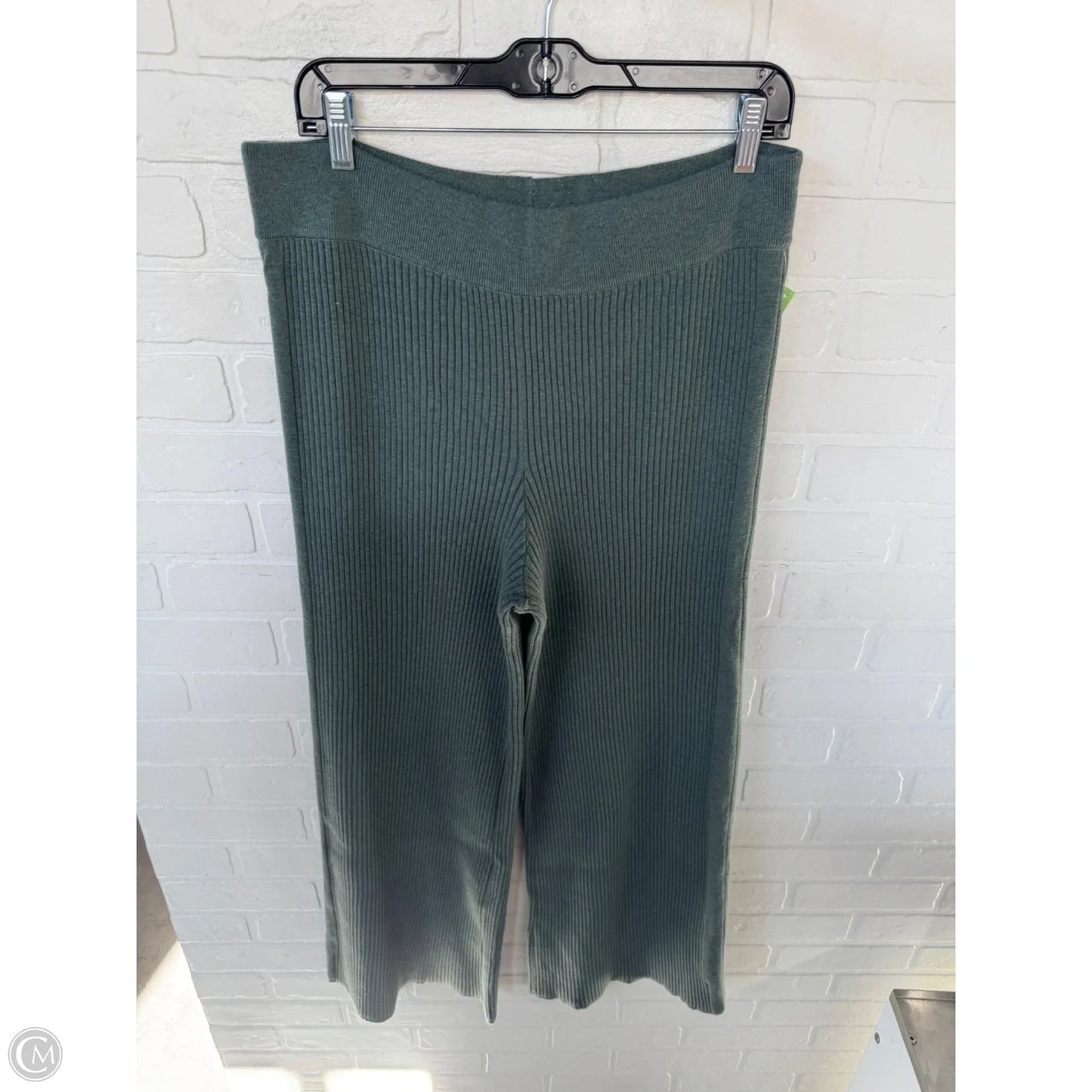 Pants Lounge By Aerie In Green, Size: 16