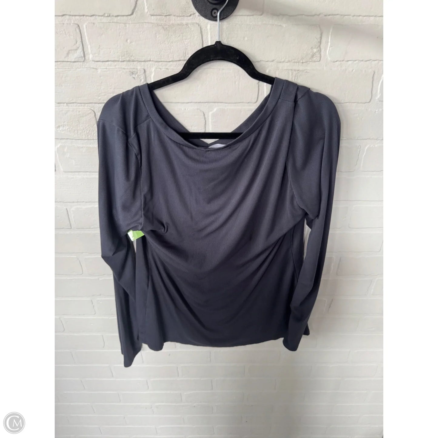Top Long Sleeve Basic By Ekouaer In Grey, Size: 2x
