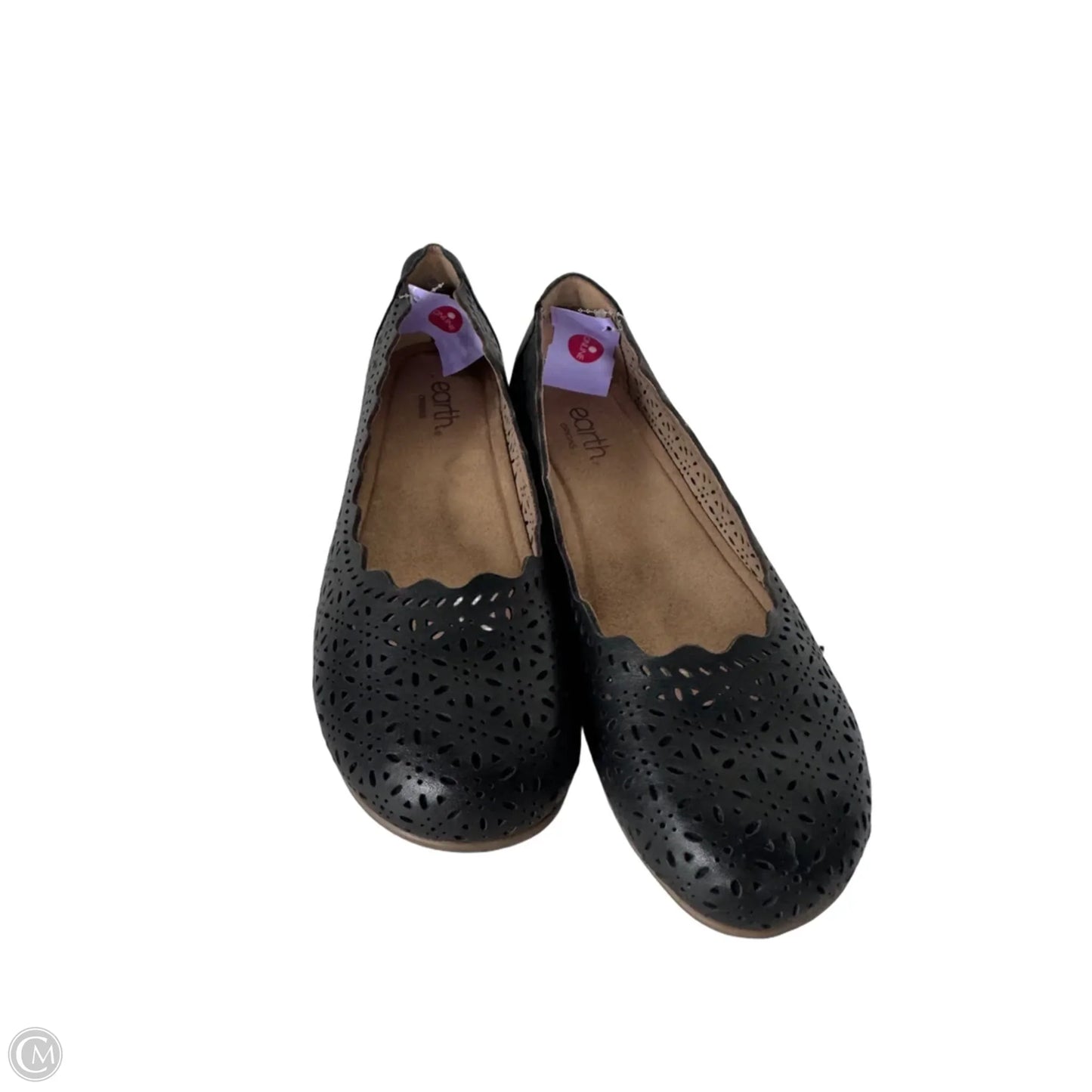 Shoes Flats By Earth In Black, Size: 10