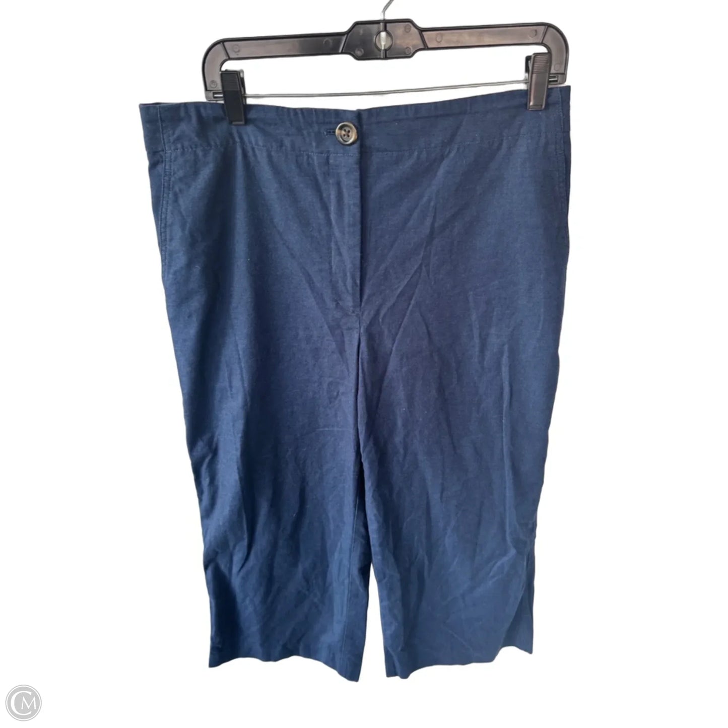 Pants Wide Leg By Ann Taylor In Blue, Size: 12