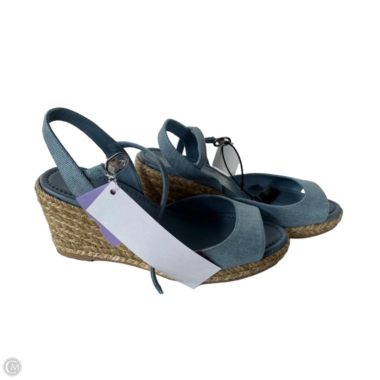 Sandals Designer By Stuart Weitzman In Blue, Size: 9