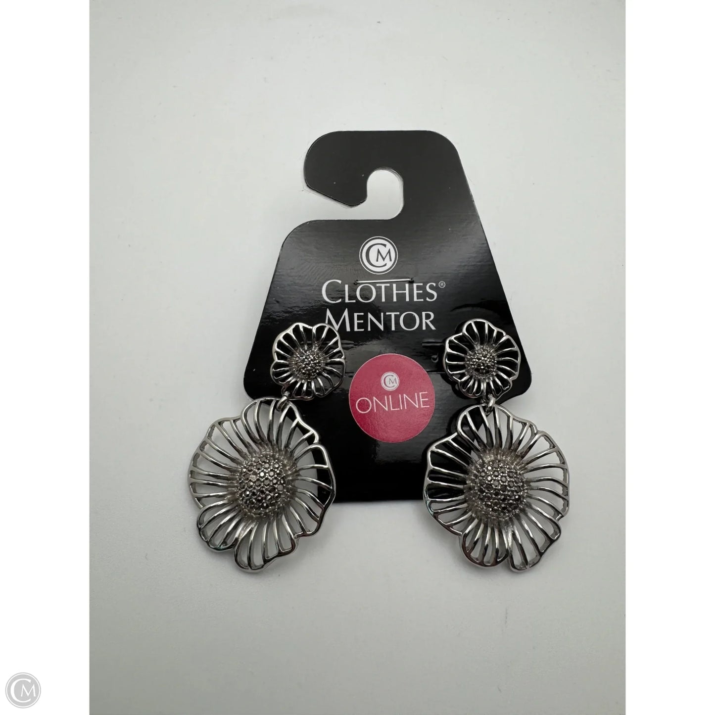 Earrings Dangle/drop By Clothes Mentor