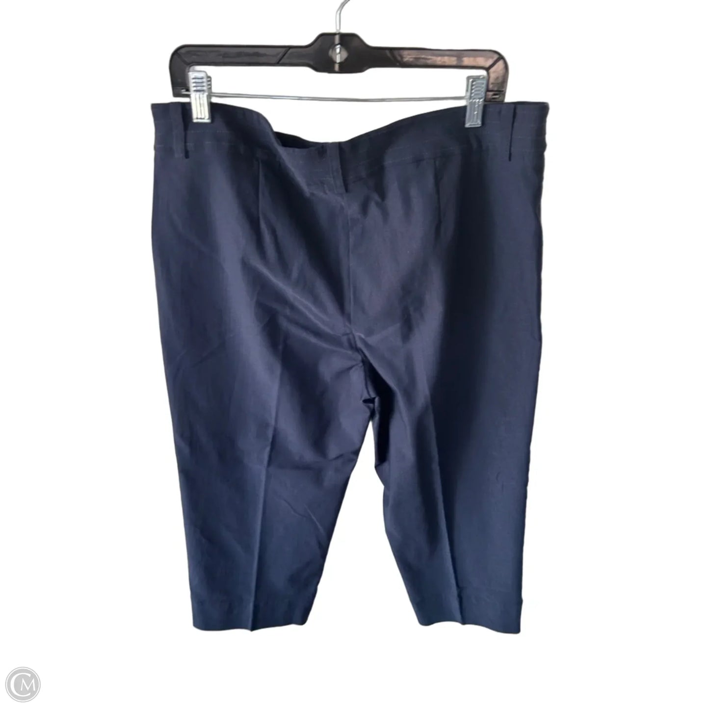 Pants Other By Chicos In Blue, Size: 16