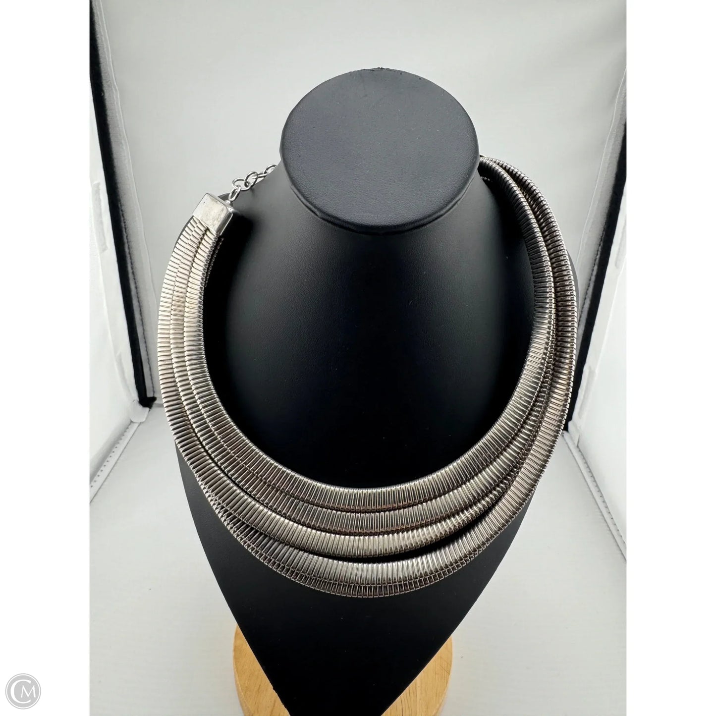 Necklace Layered By Clothes Mentor