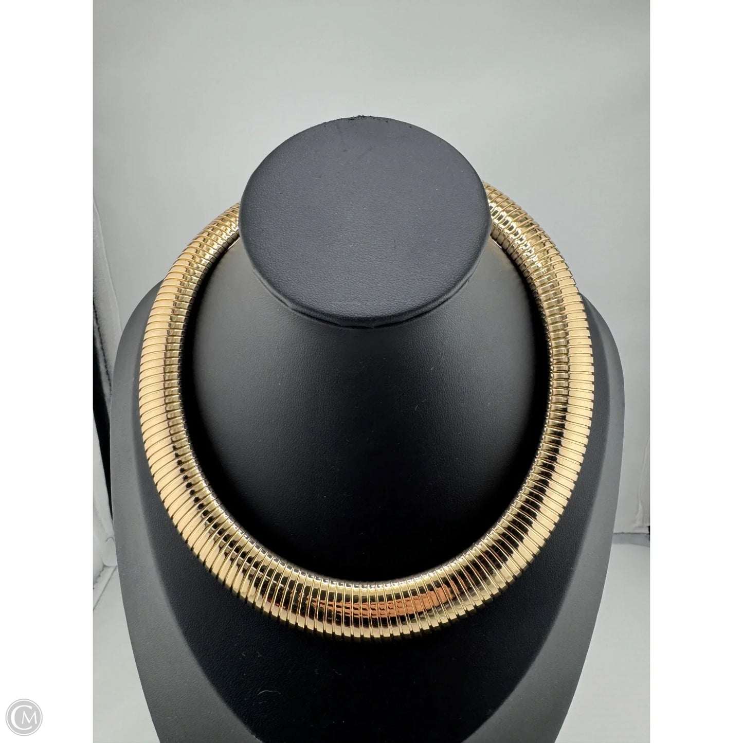 Necklace Chain By Chicos