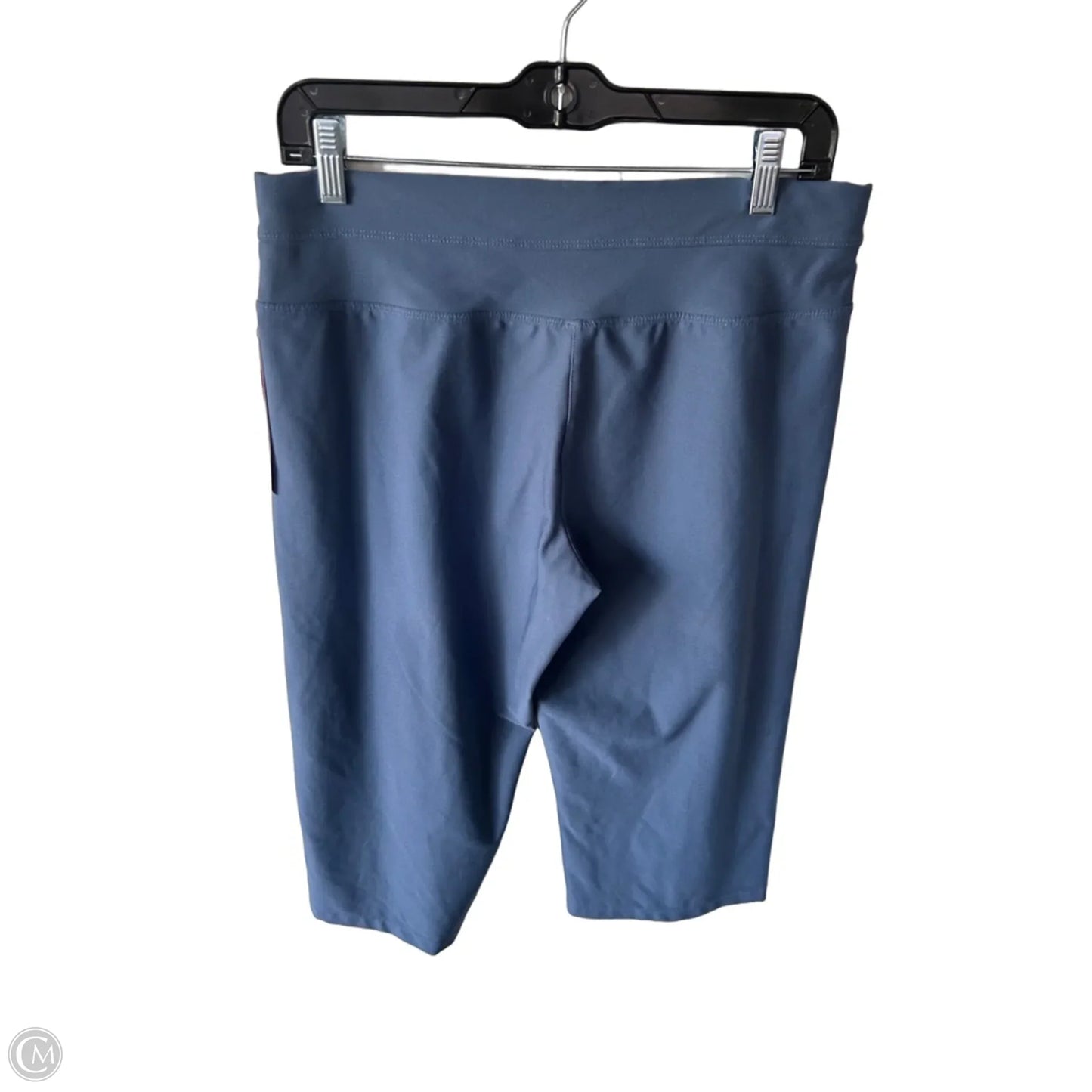 Athletic Pants By Lucy In Blue, Size: 8