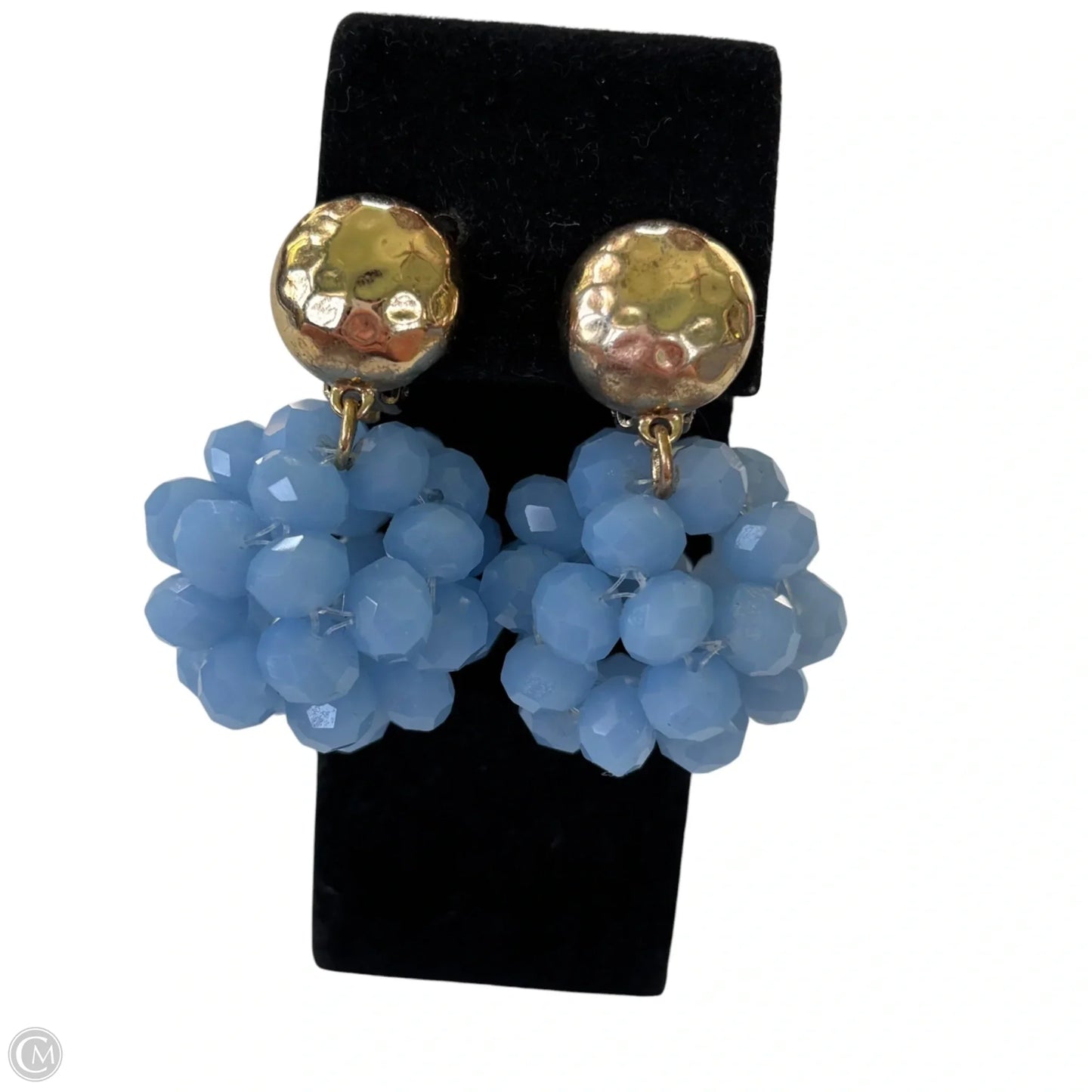 Earrings Clip